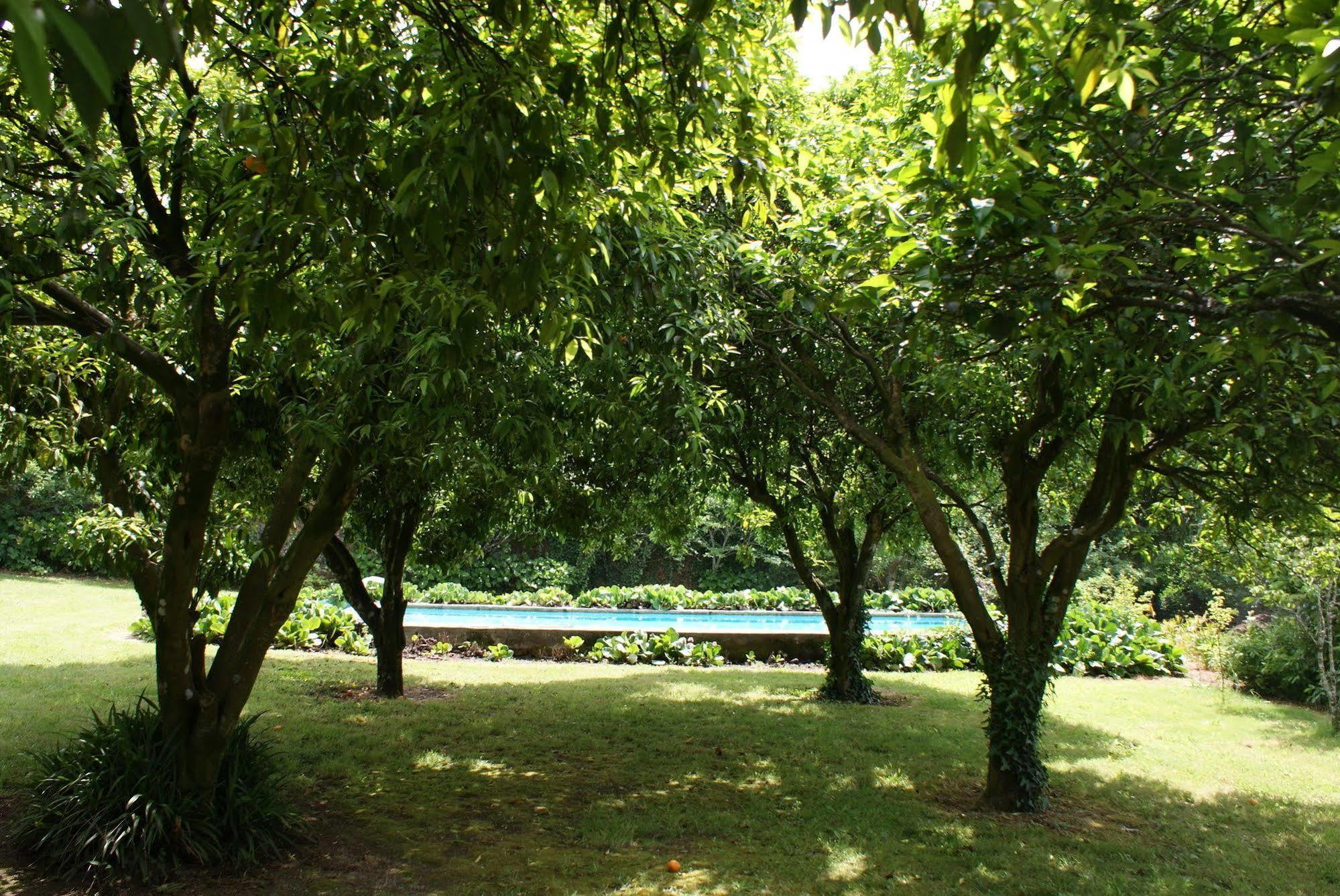 Bed and Breakfast Casa Dos Assentos De Quintiaes Barcelos Esterno foto